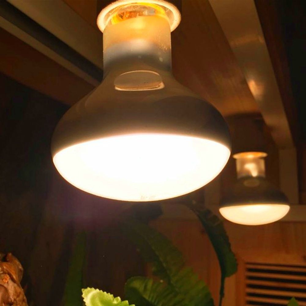 Lizard Heater Temperature Cont - Basking Bulb Halogen recension och pris