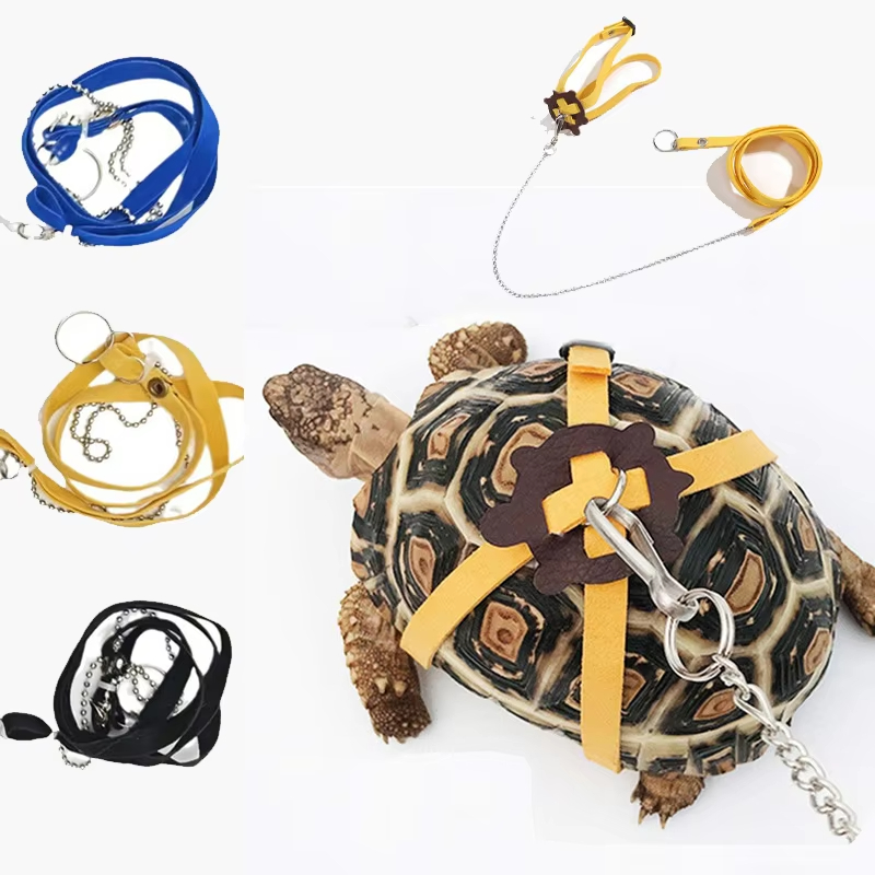 Turtle Traction Belt Control R - Water Dish Reptile recension och pris