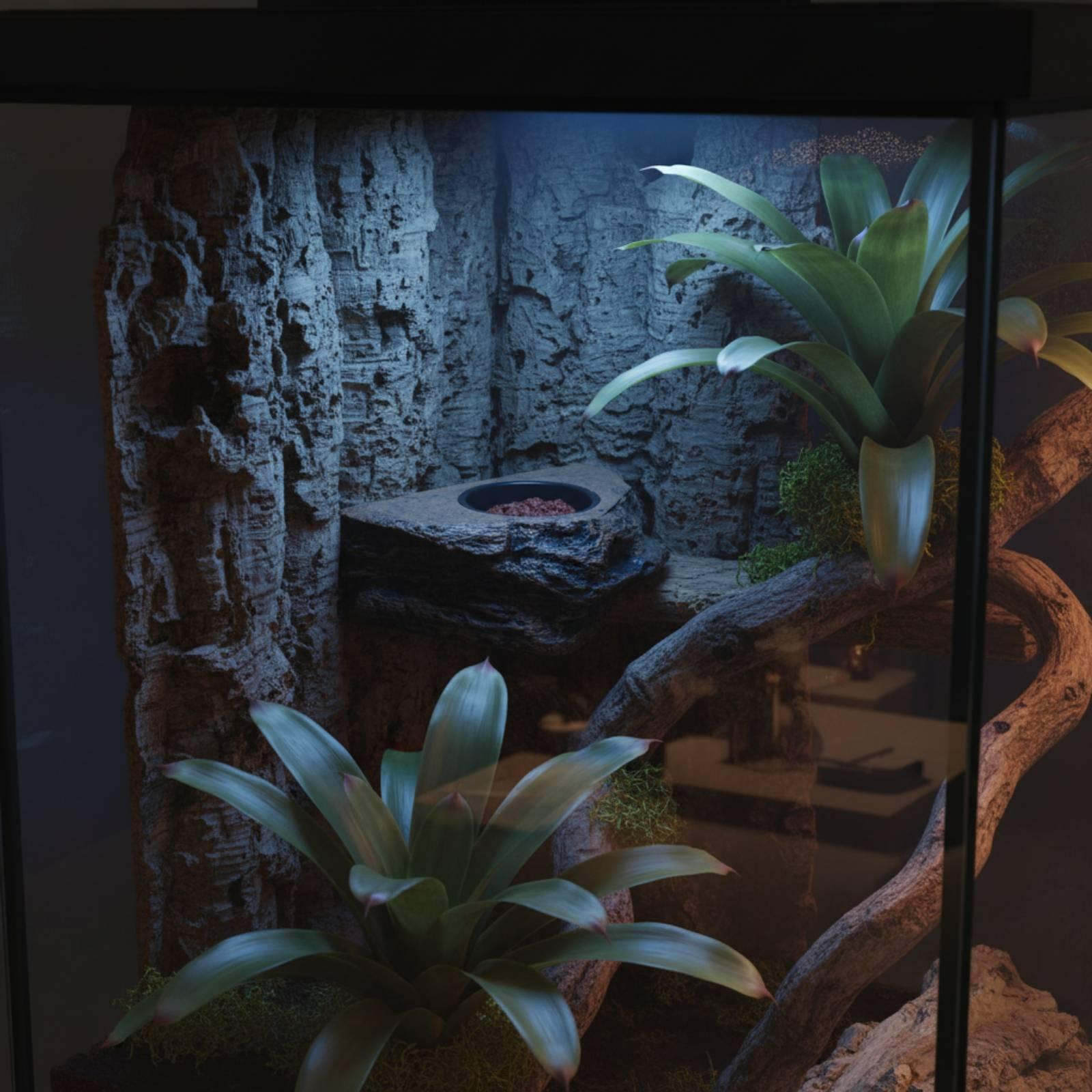 Gecko Food and Water Shelf Adj - Water Dish Reptile recension och pris