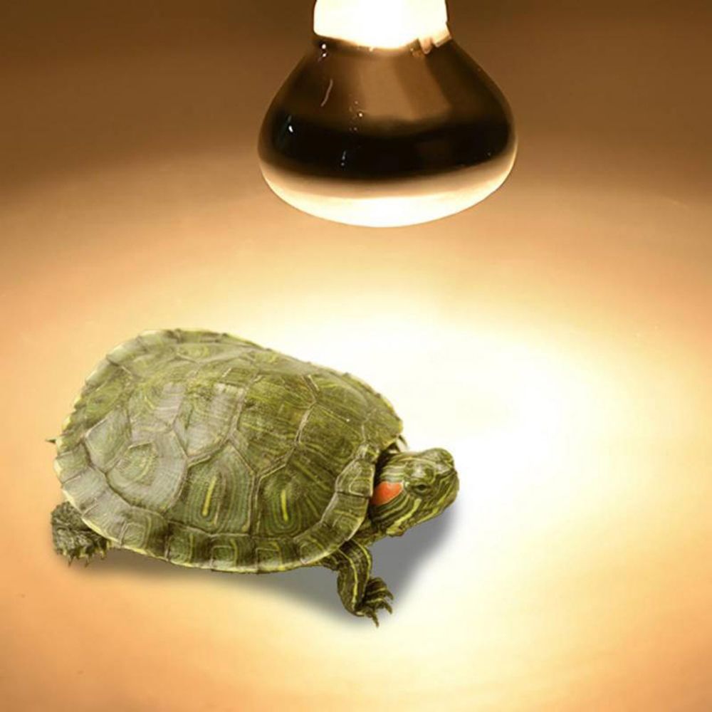 Turtle Heat Lamp Heater Haloge - Basking Bulb Halogen recension och pris
