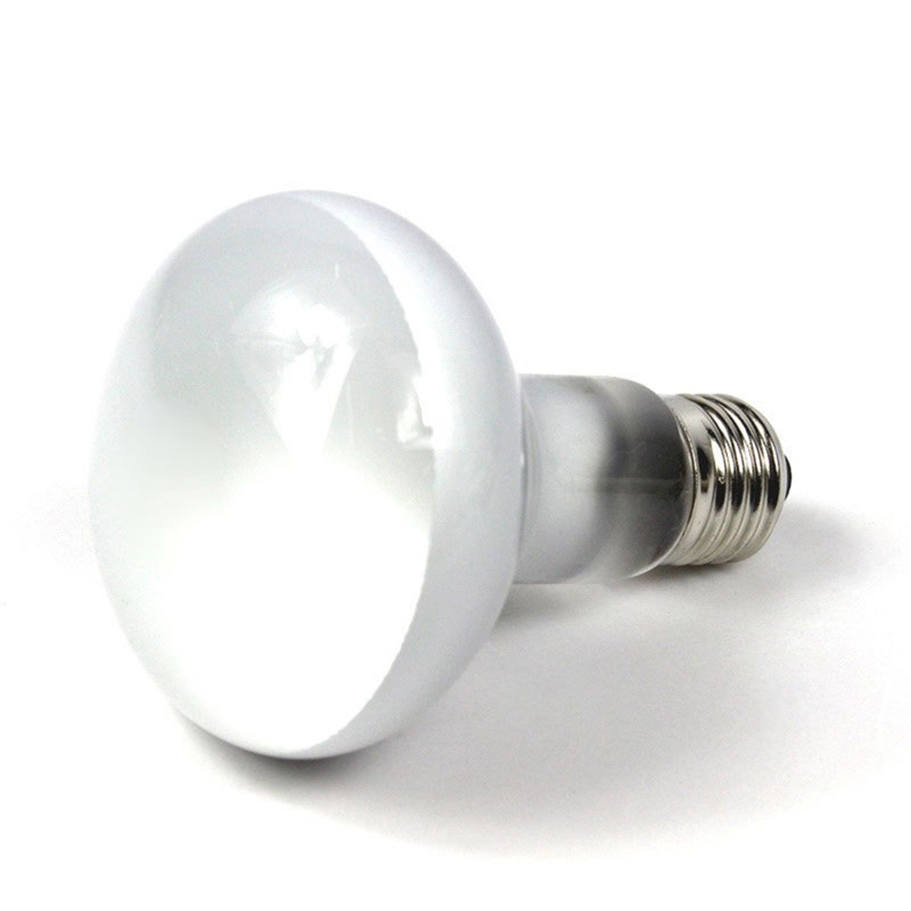Turtle Heat Lamp Heater Haloge - Basking Bulb Halogen recension och pris