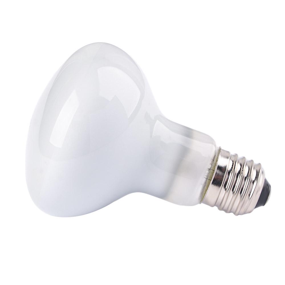 Amphibians Temperature Control - Basking Bulb Halogen recension och pris