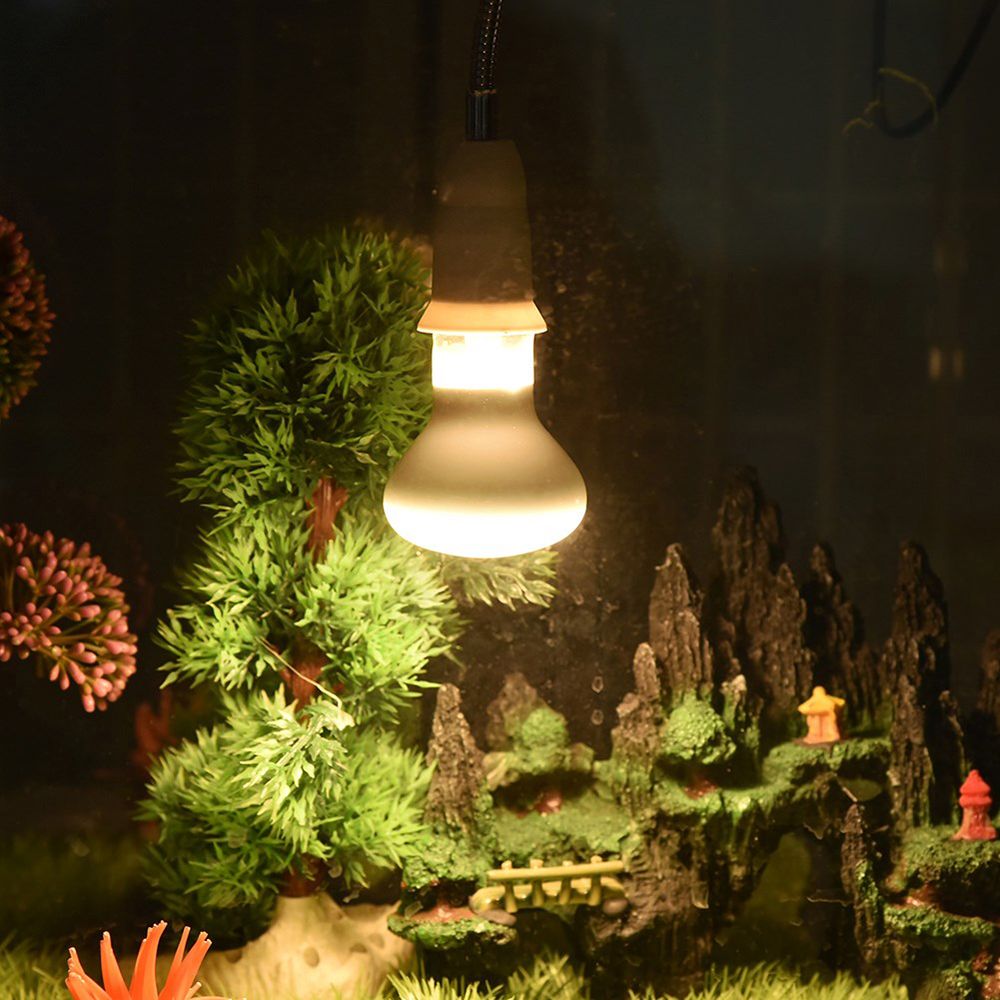 Amphibians Temperature Control - Basking Bulb Halogen recension och pris