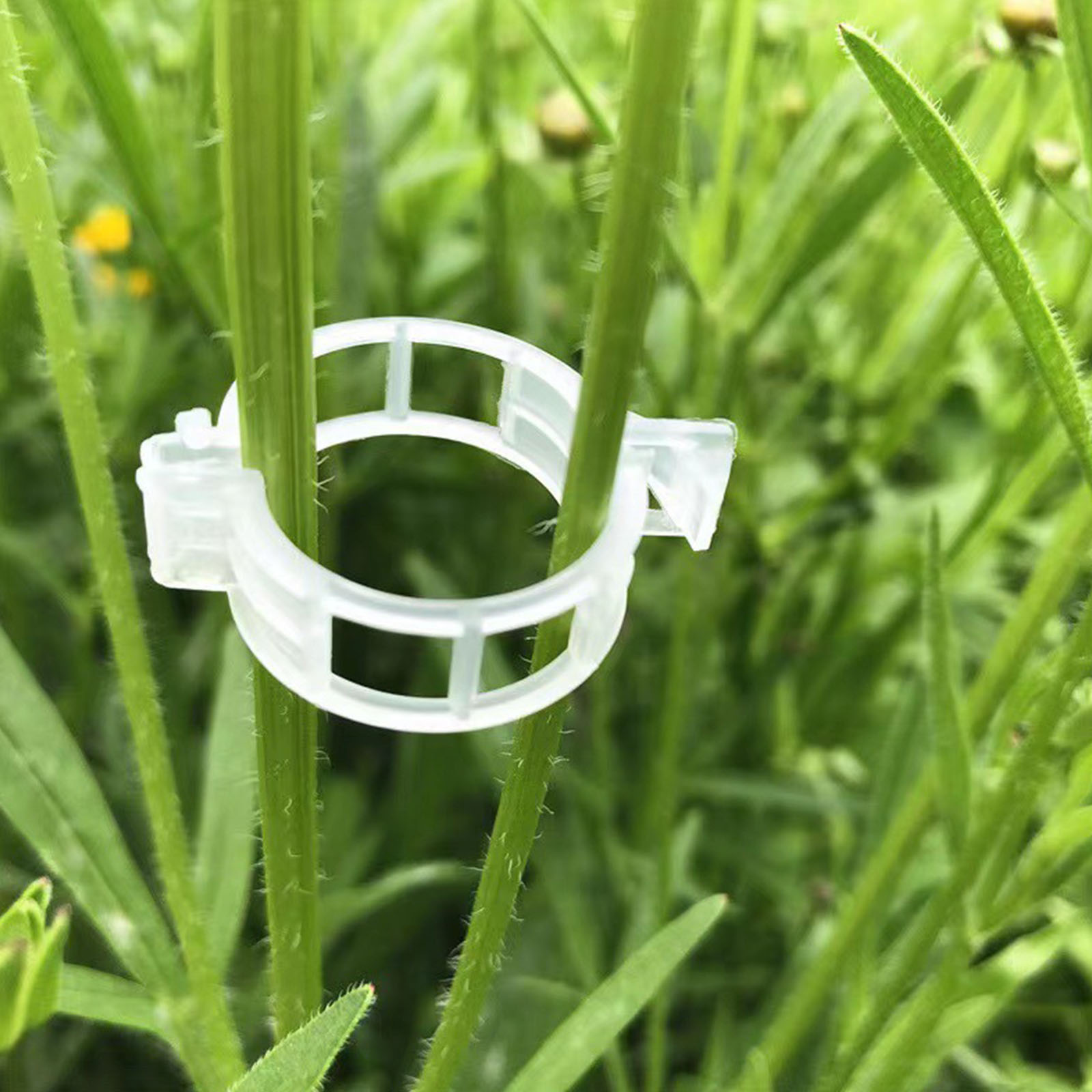 Secured Plastic Plant Clip for - Vine Climbing Plastic recension och pris
