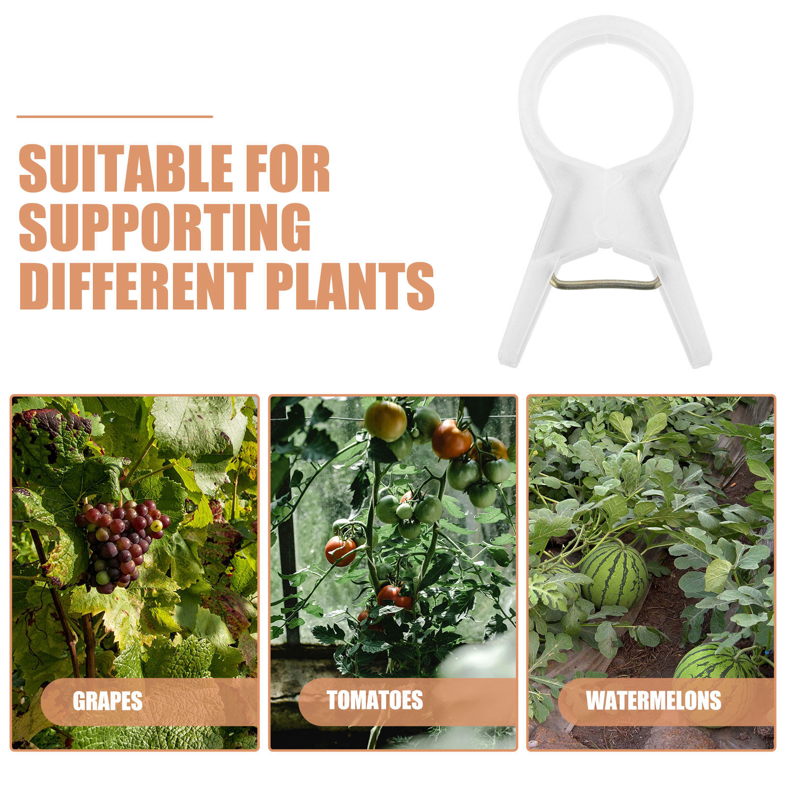 100Pcs Plastic Plant Clips for - Vine Climbing Plastic recension och pris